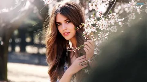 elite internasjonalt dating-byrГҐ online